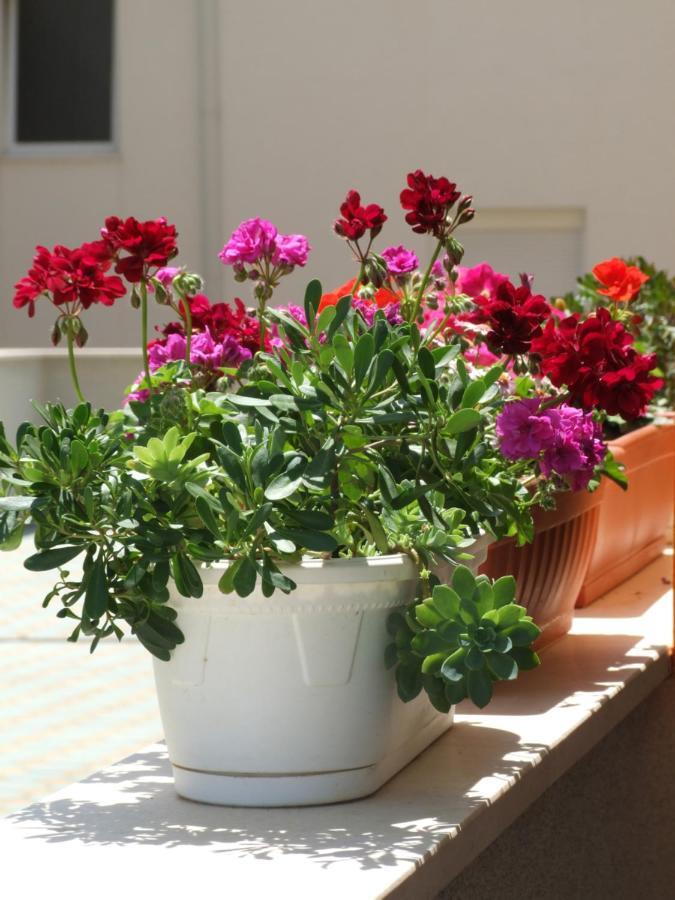 Studio Apartman Marita Apartment Split